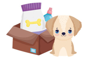 dog puppy with box package food canine pets